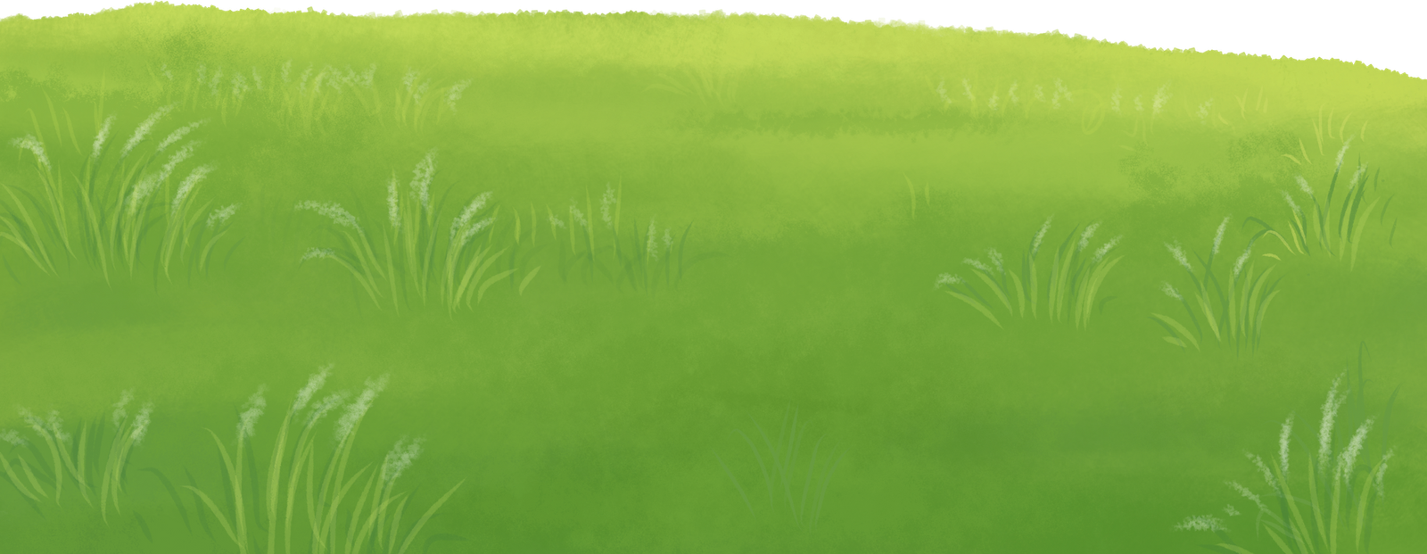 Grass landscape